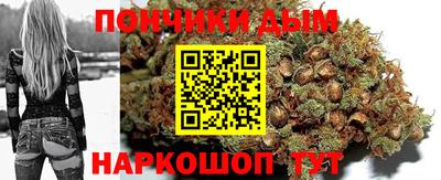 jwh Камышлов
