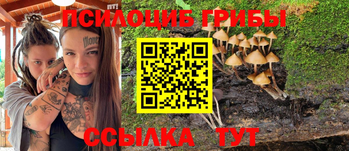 Галлюциногенные грибы ЛСД Дедовск