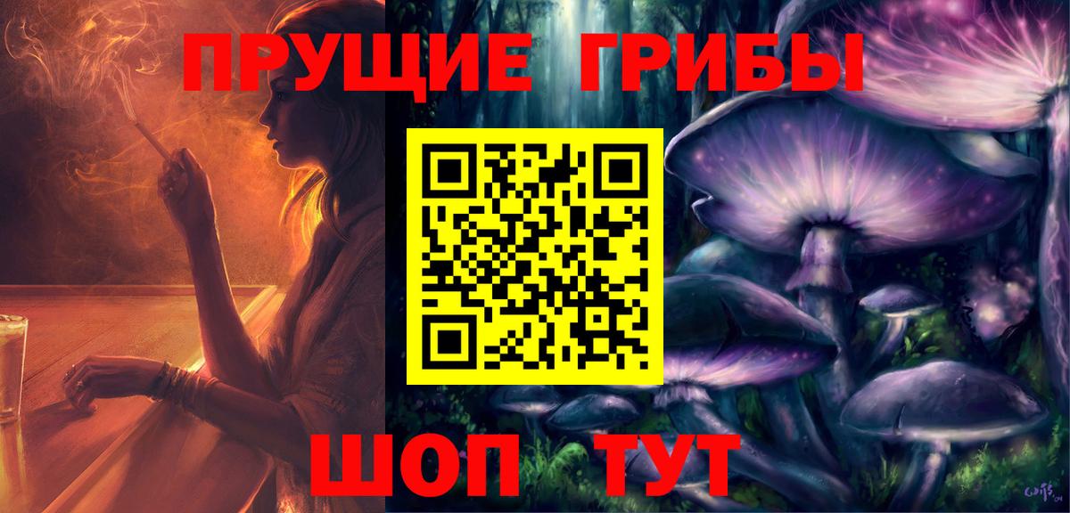 Дедовск  Псилоцибиновые грибы GOLDEN TEACHER  Вход с VPN 